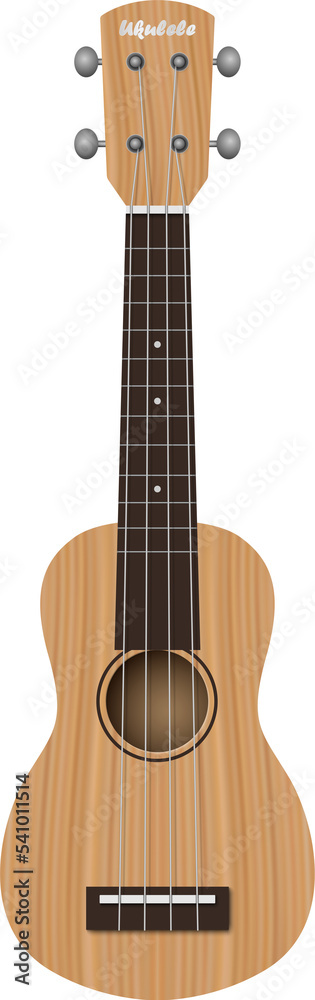 Obraz premium Ukulele