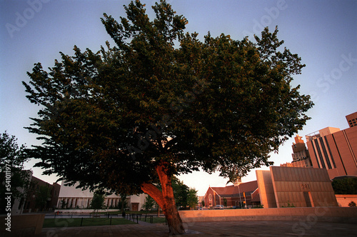 Oklahoma City National Memorial photo
