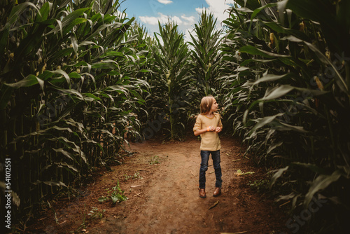 Girl standing in Corn Field photo