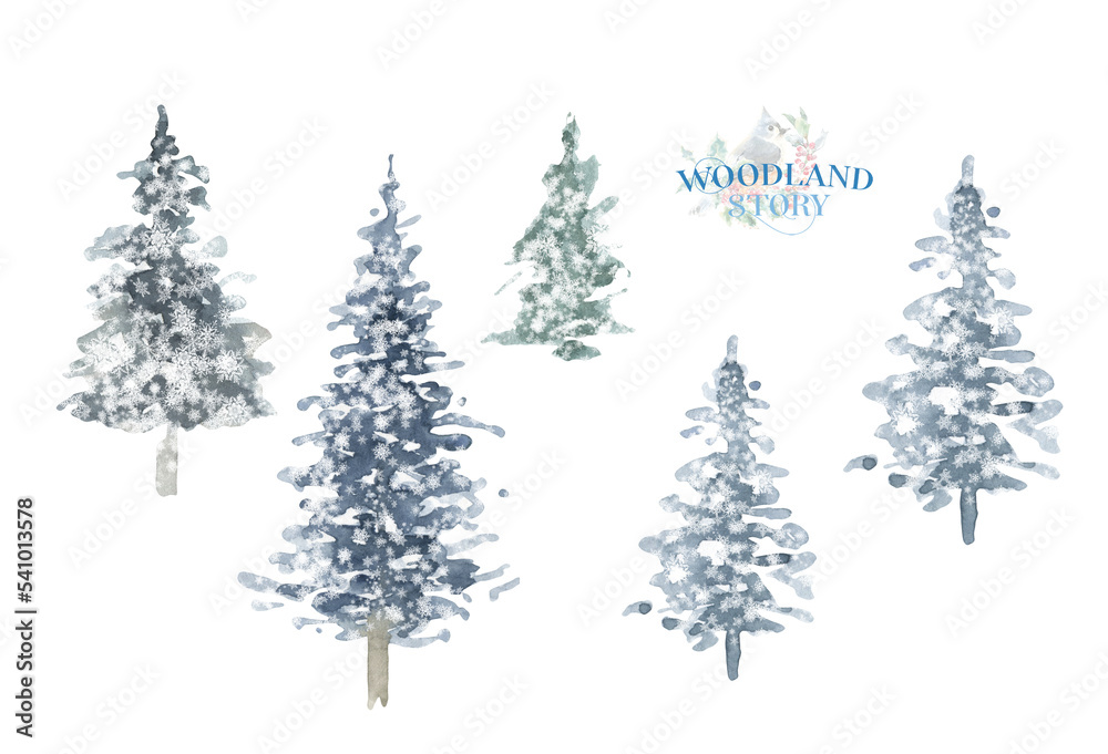Watercolor Woodland tree illustration, pine tree, evergreen, greenery botabical decoration for greeting card, poster, invitation, baby shower Merry Christmas,New Year, holiday greetings, diy	

