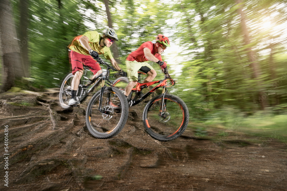 Two mountainbikers riding over roots in a forest, Bavaria, Germany Two mountainbikers riding over roots in a forest, Bavaria, Germany