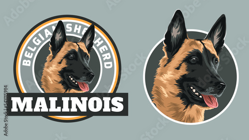 Dog tshirt and badge design for print. Belgian shepherd Malinois. Vector art, layered, Eps 10 photo