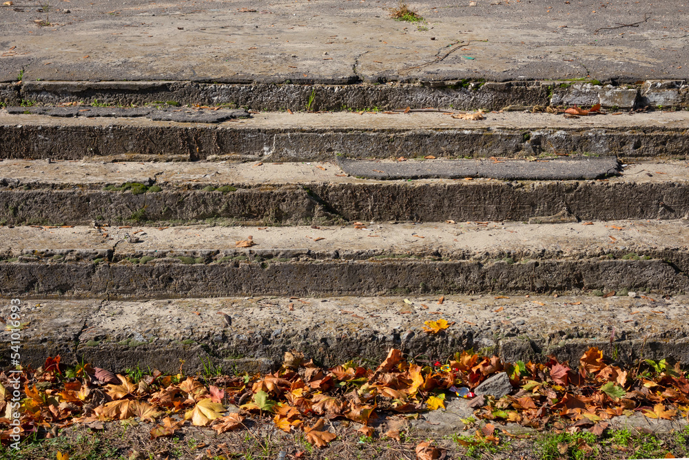 Old concrete steps. Stone stairs leading to an abandoned house. Autumn fallen leaves. Sunny day