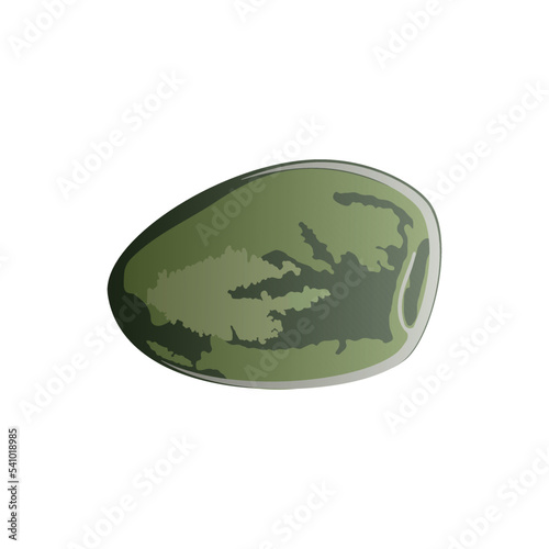Oliva colored vector drawing, white background

