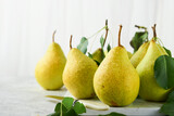 Pears. Fresh sweet organic pears with leaves on stand or plate on old stone tile background. Frame of autumn harvest fruits. Top view. Food background. Mock up.