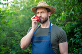 man greengrocer in straw hat smelling tomato vegetable