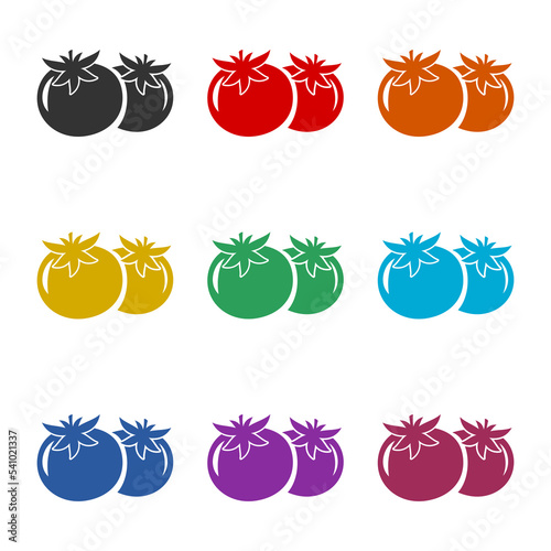 Tomato logo icon isolated on white background. Set icons colorful