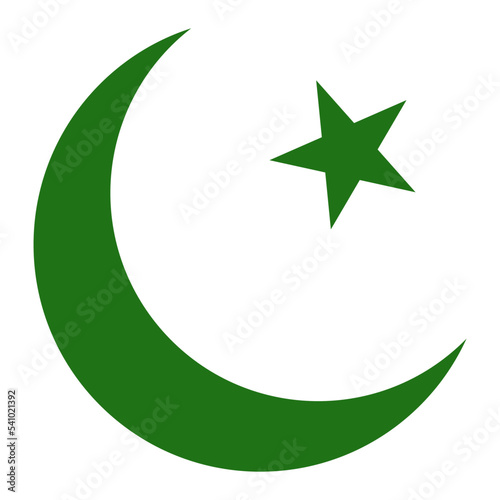 Canvas Print green moon with star vector