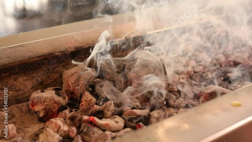 Cooking kebab, kebab grillroom, kebap bbq fire cook
