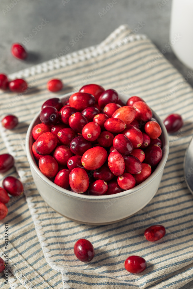 Raw Red Organic Fresh Cranberries Raw Red Organic Fresh Cranberries