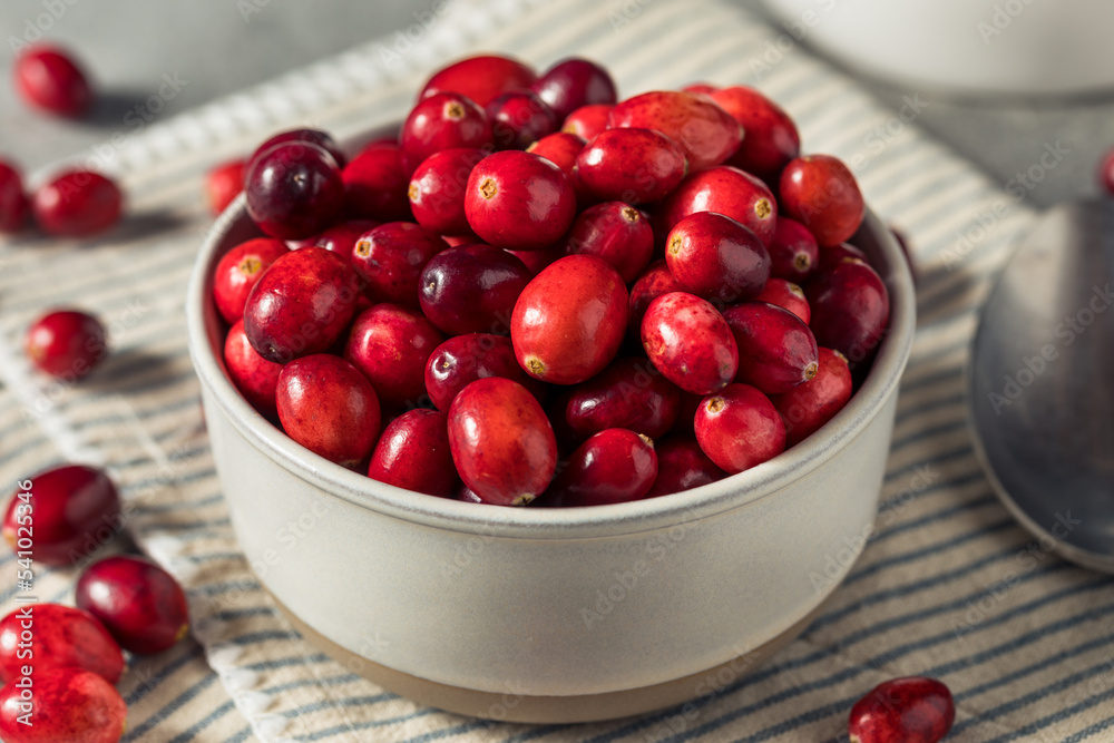 Raw Red Organic Fresh Cranberries Raw Red Organic Fresh Cranberries