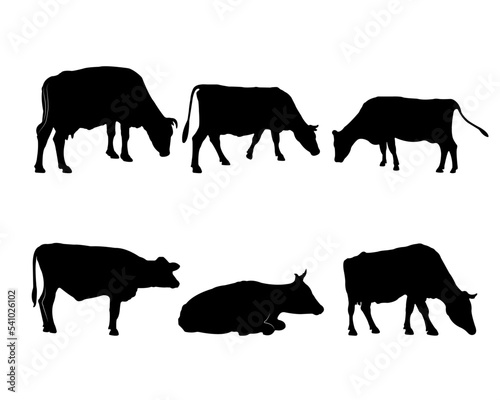 Collection of black silhouettes cows © Roza