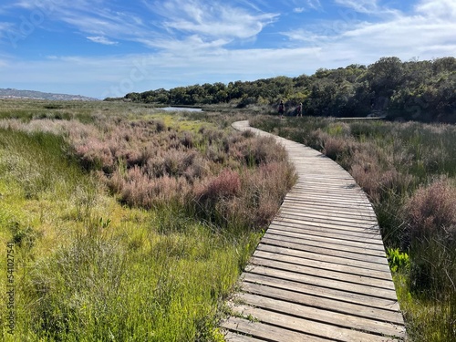 Wallpaper Mural Marais sud Corse Torontodigital.ca