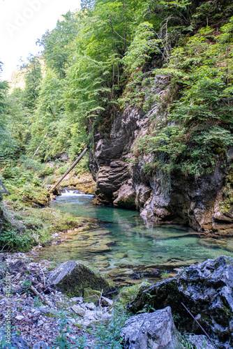 Vintgar Gorge in Slovenia