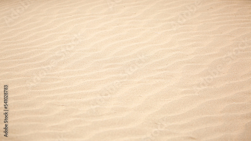 Sandy beach for background. The texture of the sand. Top view of dunes in the desert.