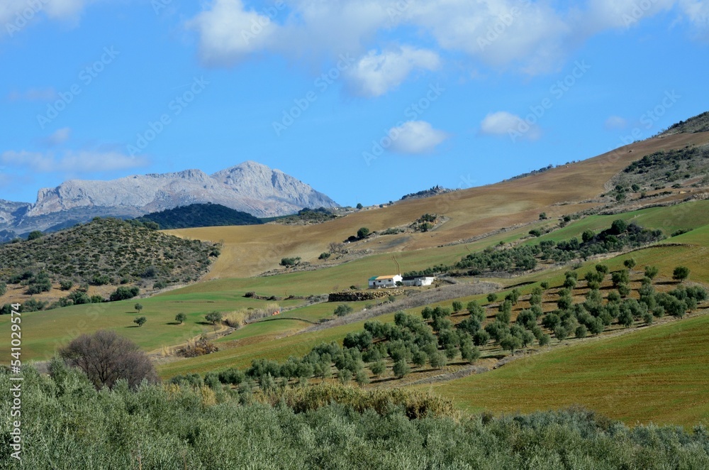 Fototapeta premium Panorama de la Comarca Sur de Antequera, una zona montañosa entre el Torcal y los Montes de Málaga, Andalucía, España.
