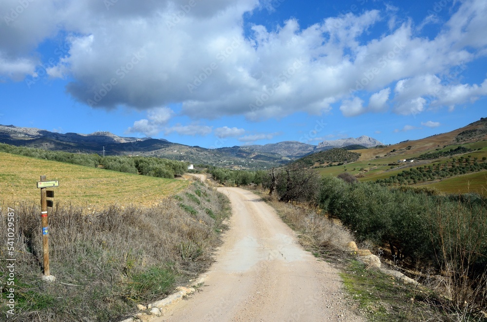 Camino de Santiago cerca de Villanueva de la Concepción en la comarca de Antequera, lindando con los Montes de Málaga, provincia de Málaga, Andalucía, España