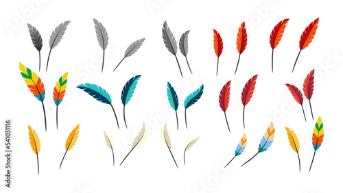 Feather set vector, illustration isolated on white background.