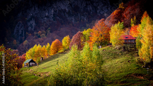 Autumn in Buila Vanturarita National Park, Carpathian Mountains, Romania. Patrunsa hermitage surrounded by vivid fall colors of the forest.