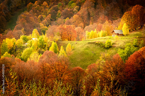 Autumn in Buila Vanturarita National Park, Carpathian Mountains, Romania. Vivid fall colors in forest. Colorful Autumn Leaves. Green, yellow, orange, red. photo