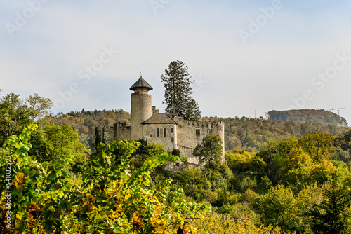 Arlesheim, Weinberg, Schloss Birseck, Burg, Weinrebe, Weinstock, Herbstfarben, Wanderweg, Herbstlaub, Herbst, Baselland, Birstal, Schweiz photo