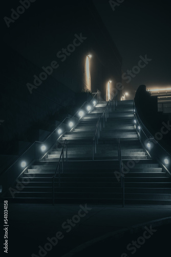 Fototapeta Naklejka Na Ścianę i Meble -  Large set of stairs with lights along the sides 