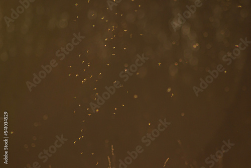 rain drops on window