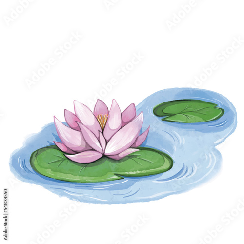 Pink water lily with leaves on water pond drawing. Watercolor textured brush stroke vector illustrations