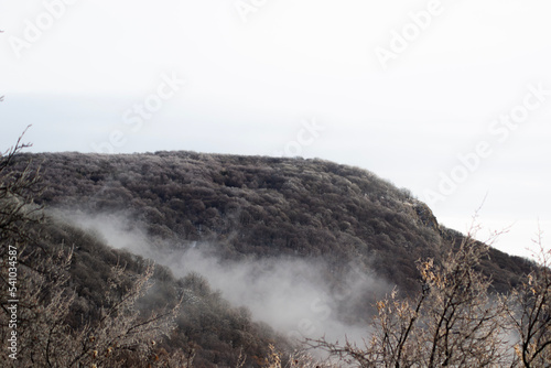 winter in the mountains
