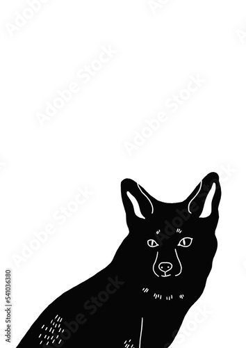 Fototapeta Naklejka Na Ścianę i Meble -  Black Fox A4 size Poster with PNG transparent isolated drawing illustration with animals, wildlife drawings for nursery decor