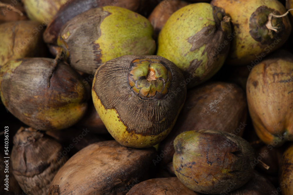 Fototapeta premium close up of coconuts