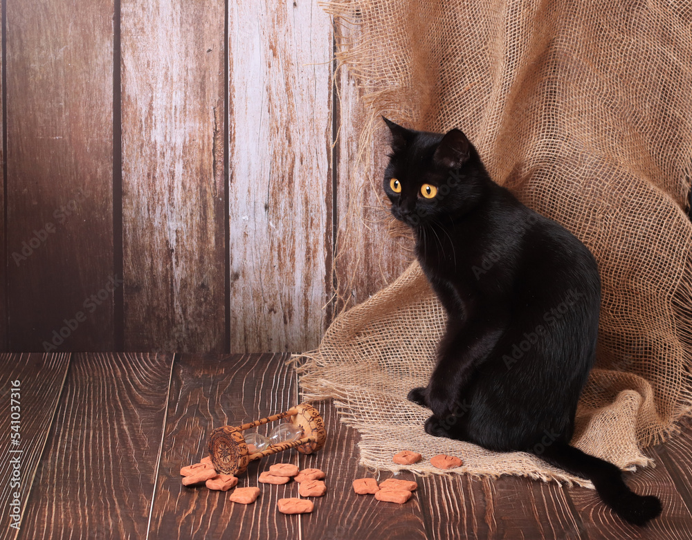 still life in Gothic Halloween style. Black cat, runes, hourglass with ...
