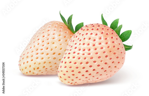 白いちご 白い苺 イチゴ イラスト リアル 淡雪 セット photo