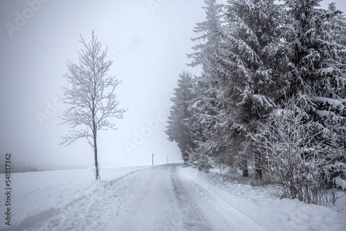 snow covered road in winter at black forest Germany
