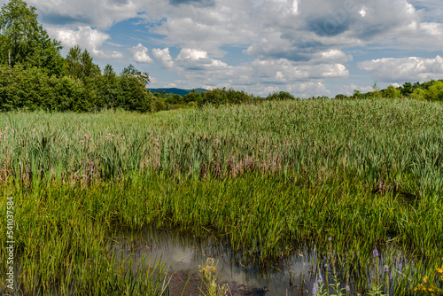 Pond in the city of Knowlton photo