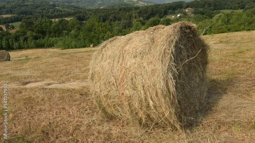 Countryside summer farmland nature landscape. Golden round hay bale on agriculture farm pastureland fields after harvest. Rural scenery.	