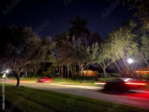 Florida Nature