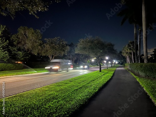 Florida Nature
