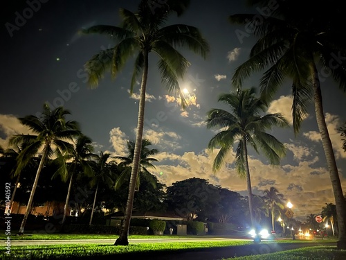 Florida Nature