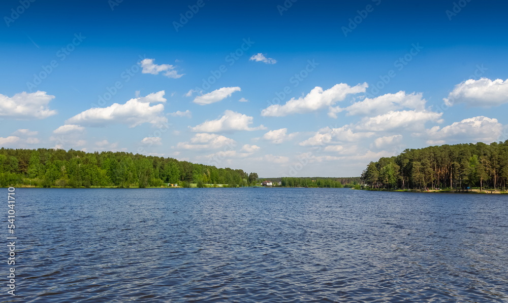 Obraz premium Pond in summer on the background of forest and sky with clouds