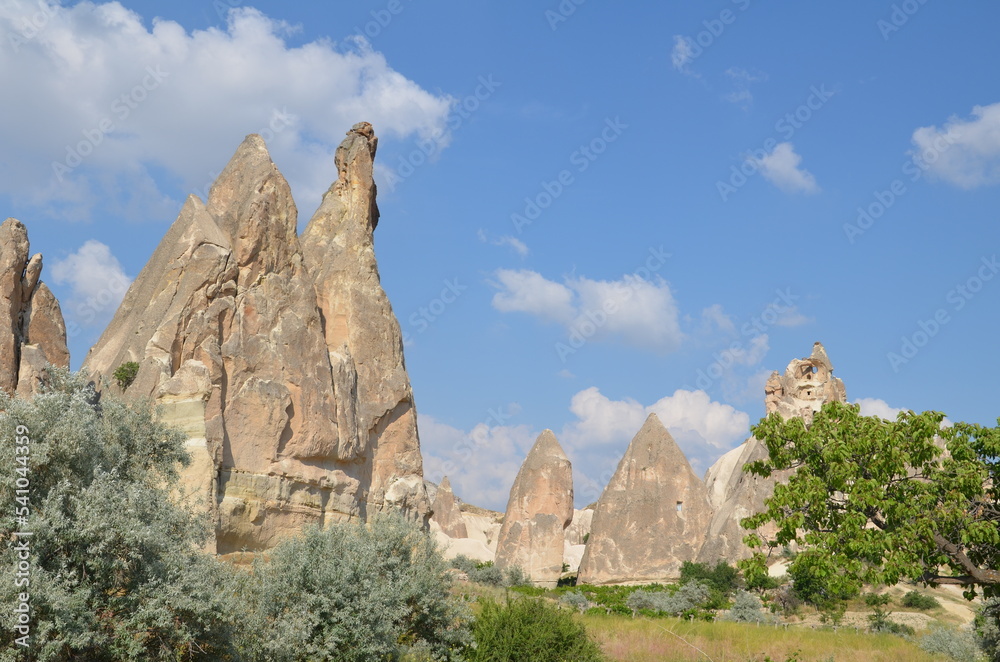 cappadocian landscape with green tree and mighty rocks in spring