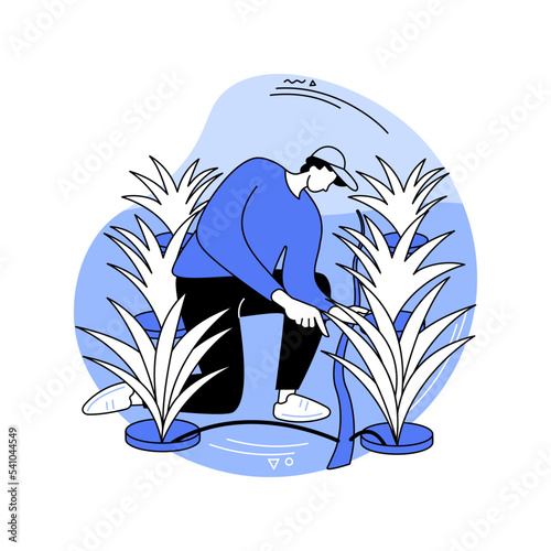 Dip irrigation system isolated cartoon vector illustrations.