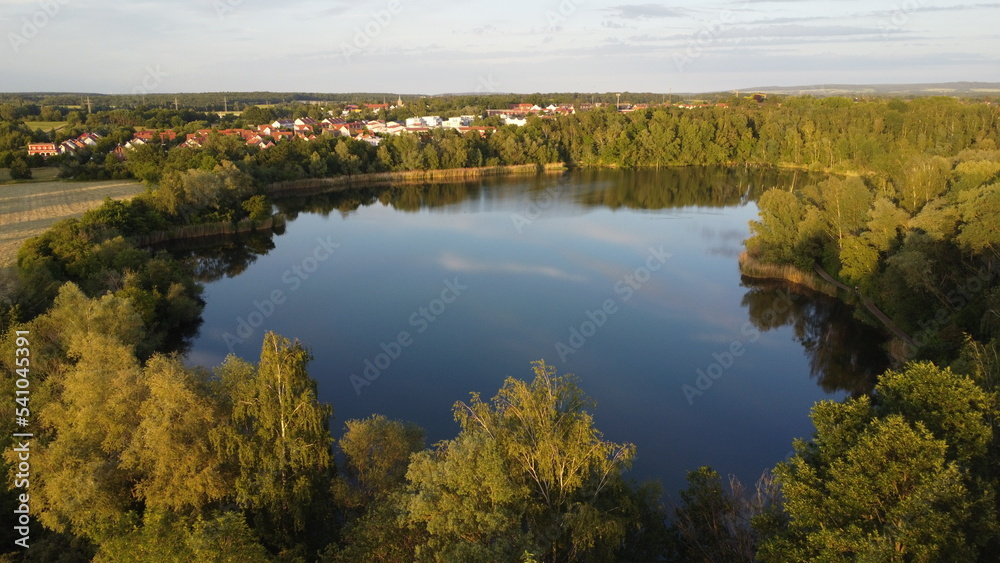 little lake surrounded by trees