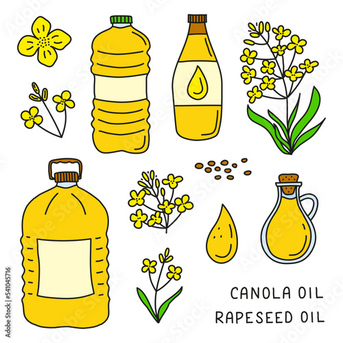 Set of doodle canola oil and flowers.