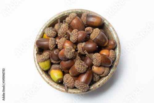 bowl of acorns 