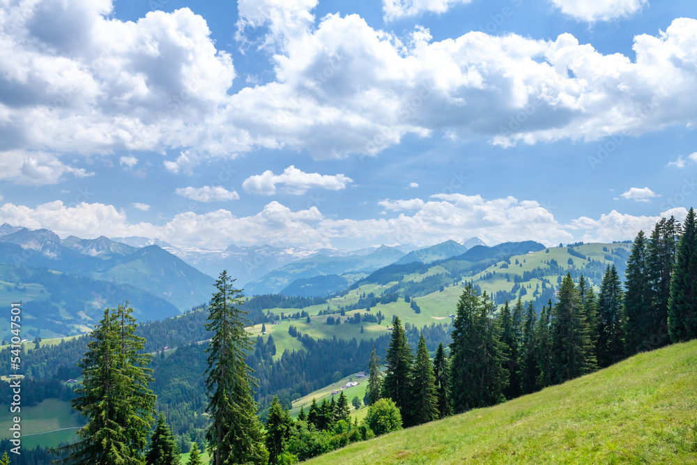 Panoramic view of countryside, green alpine meadows and mountains