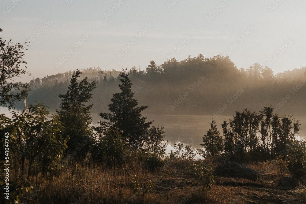 Foggy Lake