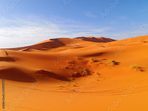 Peaceful view of beautiful Sand dunes of the Sahara desert  Morocco