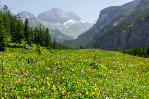 Panoramic view of green alpine meadows and mountains © karandaev