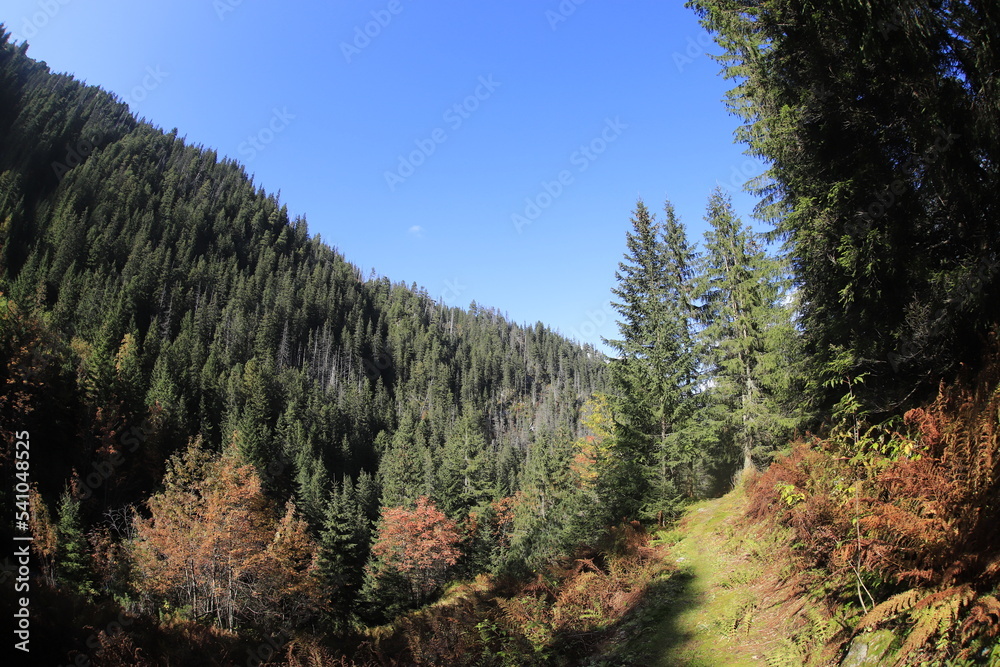 Autumn in Tatra Mountains, Dolina Białej Wody